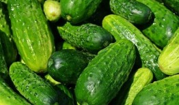 夏天吃瓜的歌,跟随歌曲感受清凉一夏