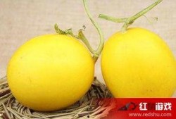 吃瓜喉咙难受,如何缓解与预防