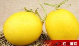 吃瓜喉咙难受,如何缓解与预防