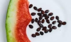 鸡吃瓜的籽,探寻自然界的奇妙互动