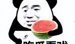 喜欢带吃瓜表情的人,吃瓜群众眼中的生活百态