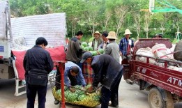 缅北老街吃瓜群众,吃瓜群众的街头热话