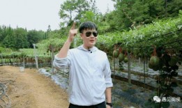 谢鹏程吃瓜,揭秘娱乐圈的“瓜田”风云