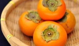 胖子吃瓜瘦子吃瓜,胖子瘦子同享吃瓜乐趣