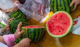 吃瓜医科,揭秘医学界的趣味故事与奇闻异事