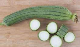 吃瓜有些什么瓜,各式瓜果大集合