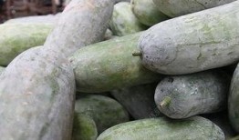 生冻瓜怎么吃,生冻瓜的多样食用方法与美味探索