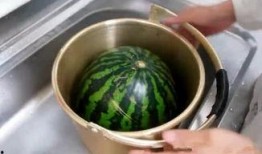 上官煮妇吃瓜,一场别开生面的吃瓜盛宴