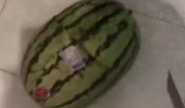 吃瓜要洗手,洗手保健康——揭秘吃瓜卫生小常识