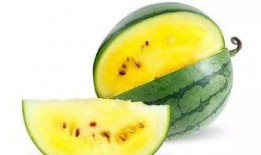 冬天吃瓜好冷,揭秘冬天吃瓜的奇妙体验