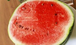 瓜瓜吃瓜全文,揭秘娱乐圈幕后真相