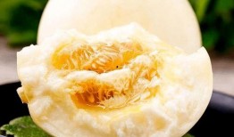 吃瓜不甜吃甜瓜,吃甜瓜的智慧与乐趣