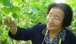 吃瓜人管家娘子全文手打,宫廷秘闻与爱情纠葛