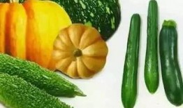 谢鹏程吃瓜,揭秘娱乐圈的“瓜田”风云