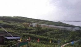 盘山吃瓜群众事件,一场网络舆论的风暴与反思