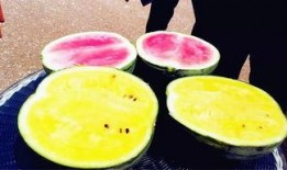 吃瓜爆料每日大瓜免费,吃瓜爆料每日大瓜免费，独家内幕等你来探