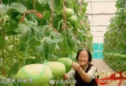 自由吃瓜基地小组 -