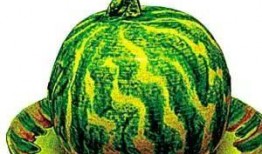 关于在古代吃瓜,揭秘古代“吃瓜群众”的消夏时光