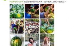学校吃瓜网站,揭秘学校吃瓜网站背后的热点事件