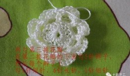 吃瓜手工钩花教程,跟随吃瓜手工钩花教程，打造个性家居装饰