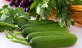 夏天吃瓜的歌,跟随歌曲感受清凉一夏