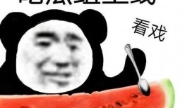 河南闺蜜吃瓜,揭秘娱乐圈背后的那些事儿