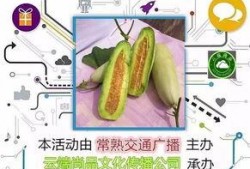 晚上吃羊角瓜,营养美味，养生新选择