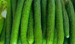 吃瓜的包谷,揭秘娱乐圈的甜蜜与苦涩