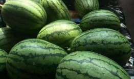 琼海16度吃瓜,夏日炎炎吃瓜时光