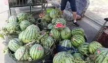 安平吃瓜事件,一场网络狂欢背后的真相与反思