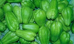 智慧的吃瓜,洞察世间百态