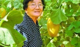 西安教授吃瓜事件