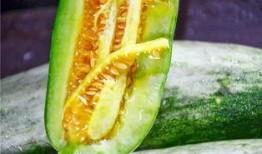 哪个网红吃瓜,一场娱乐圈的狂欢盛宴