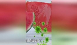 吃瓜影响大便吗,揭秘日常饮食对肠道健康的影响