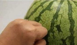 学伴吃瓜,揭秘校园里的那些“瓜”