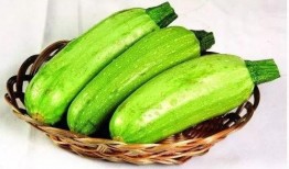 哺乳可吃茭瓜吗,哺乳期妈妈能否食用茭瓜？营养与安全解析