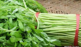 蒿爸吃瓜视频,揭秘娱乐圈幕后故事