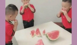 吃瓜三胞胎,揭秘娱乐圈的甜蜜“瓜田”生活