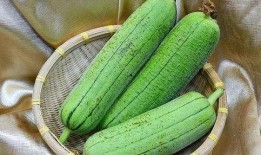 瓜瓜吃瓜全文,揭秘娱乐圈幕后真相