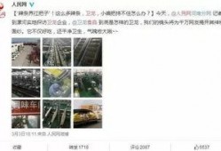 无死角吃瓜群众,揭秘娱乐圈幕后真相