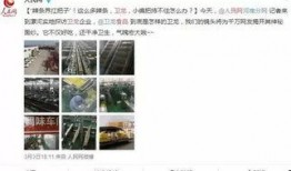 无死角吃瓜群众,揭秘娱乐圈幕后真相