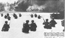 前线分析吃瓜事件,吃瓜事件背后的真相与争议