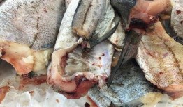 咸鱼吃瓜年代文,年代文中的市井百态与情感纠葛