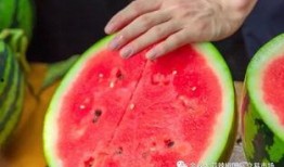 吃瓜水冰月大学