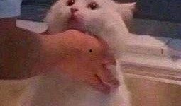 朝阳群众吃瓜测试,揭秘京城街头的热辣八卦