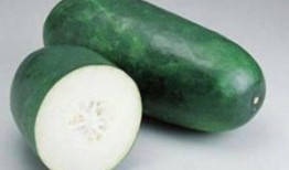 生冻瓜怎么吃,生冻瓜的多样食用方法与美味探索