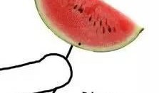 工作室吃瓜图片欣赏,趣味横生的欢乐时光