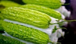 孕妇吃丑瓜,丑瓜的营养秘密与孕妇食谱推荐