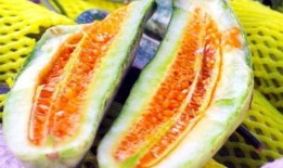 吃瓜云瓜,探寻夏日消暑新潮流