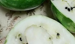 我吃瓜子皮音吃瓜蛋,揭秘“吃瓜蛋”的独特魅力